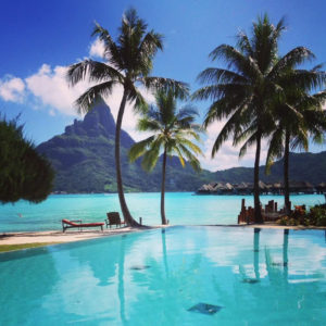 palm trees and on ocean