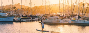 Man paddling in the harbour