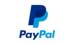 PayPal Logo (seit 05/2014)